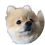 犬